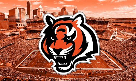 Top 999+ Cincinnati Bengals Wallpaper Full HD, 4K Free to Use