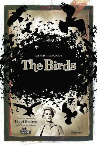 the birds movies posters | Horror Amino