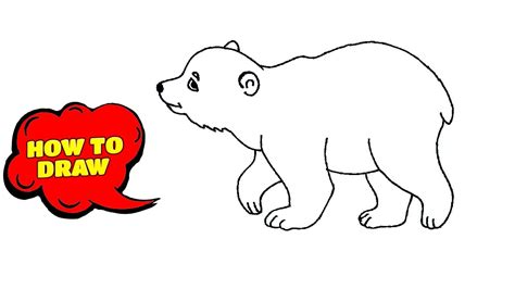 Polar bear - How to draw | Coloring Pages Little Cute Baby Polar Bear - YouTube