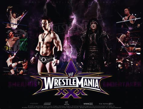 Sheamus Vs Undertaker - WrestleMania 30 by thetrans4med on deviantART