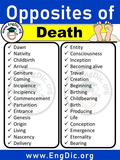 Opposite of death antonyms of death example sentences – Artofit