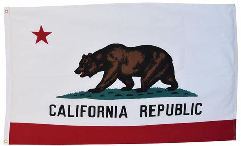 Large Vintage California Republic State Bear Flag | Chairish