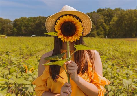 12 Sunflower Field Photoshoot Ideas + Clothing & Posing Tips