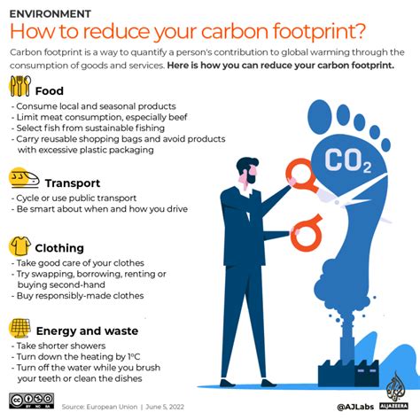 Infographic: How can you reduce your carbon footprint? | Infographic ...