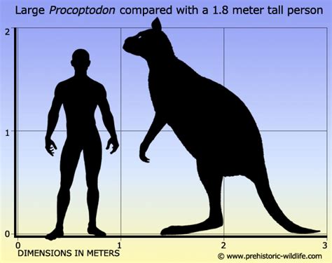 Giant Ground Sloth Size Comparison | Bruin Blog