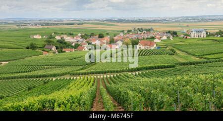 Vineyards Sacy Reims Marne Grand Est France Stock Photo: 210375150 - Alamy