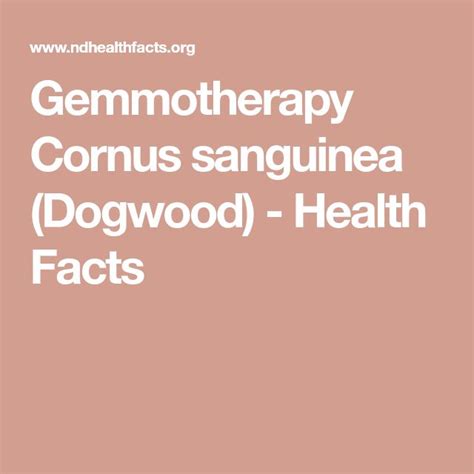 Discover the Benefits of Gemmotherapy Cornus Sanguinea