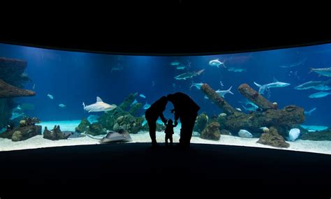 Zoo, Aquarium, and Garden Visit - ABQ BioPark | Groupon