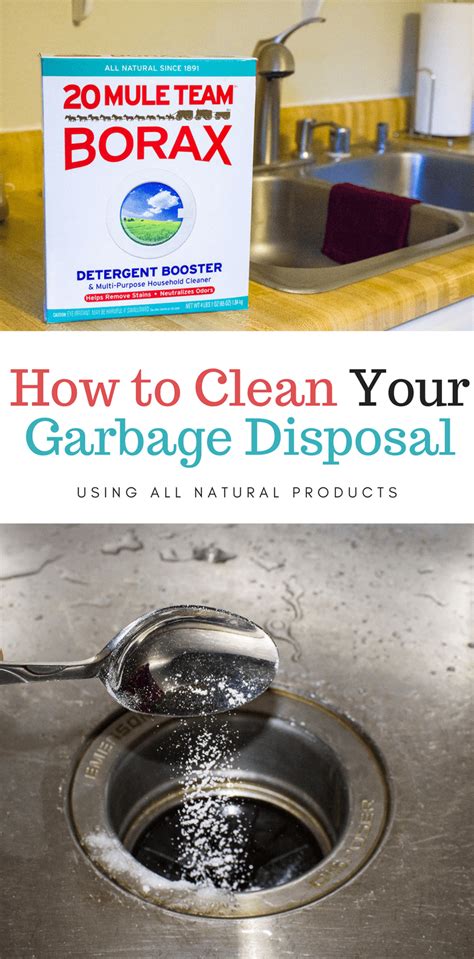 How to Clean Garbage Disposal & Trash Can Naturally | Garbage disposal, Garbage disposal ...