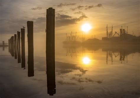 Foggy Winter Sunset