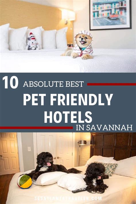 10 'Paw-some' Pet Friendly Hotels Savannah GA Offers for Your Next Vacation