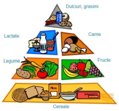 Piramida alimentelor pentru copii | Piramide alimentare, Attività di ...