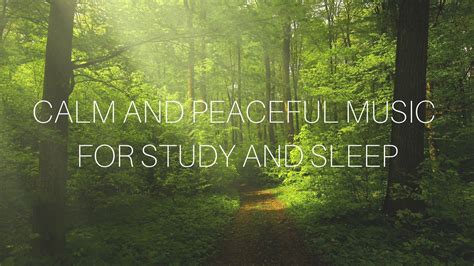 Calm and Peaceful Music for Study and Sleep - YouTube