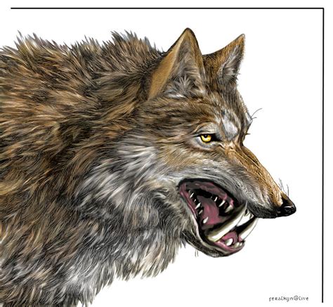 Dire Wolf - Color by Feralkyn on DeviantArt