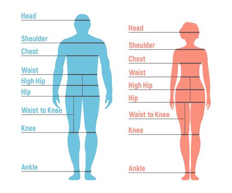 Free Printable Body Measurement Chart