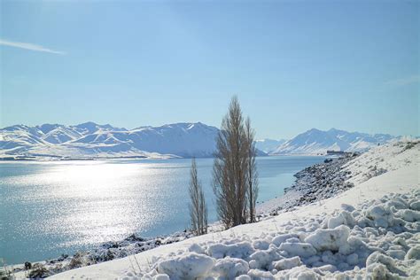 Winter in New Zealand Photograph by Pla Gallery - Pixels