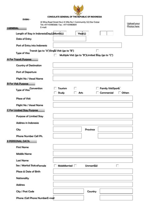 Fillable Indonesia Visa Application Form printable pdf download