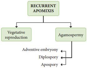 Apomixis Definition and its Types