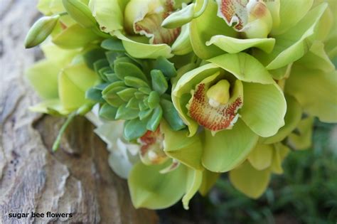 Sugar Bee Flowers: Green Cymbidium and succulent bouquet