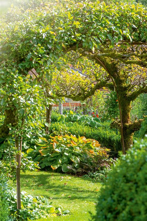 The ultimate guide to planting your own orchard: 'Getting it right is easy; sadly, so is getting ...