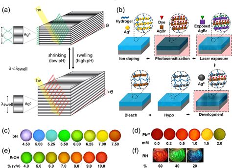 Figure 3 from Photonic hydrogel sensors. | Semantic Scholar