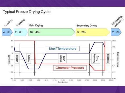 Freeze drying