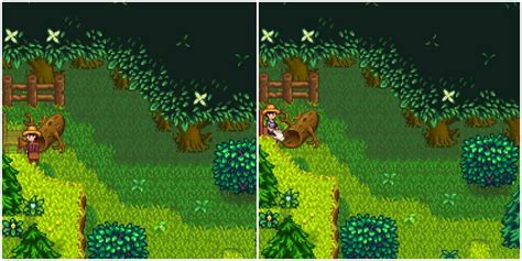 How To Access The Secret Woods Early In Stardew Valley