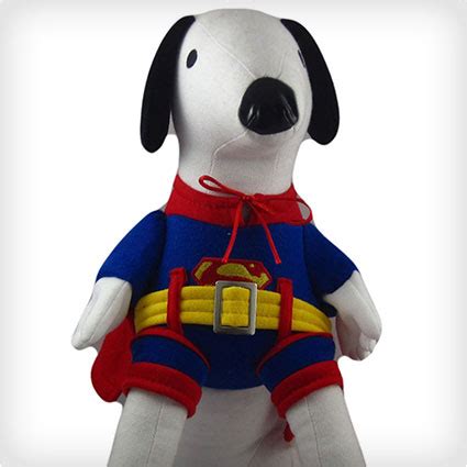 44 Superman Dog Costumes for Your Pup of Steel - Costume Yeti