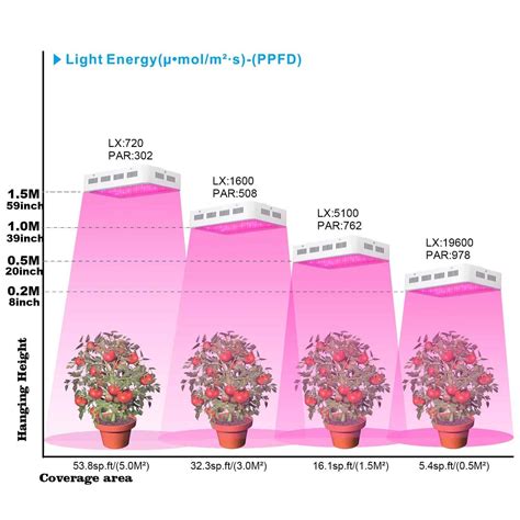 Using Full Spectrum LED Grow Lights For Indoor Gardening | You Should Grow