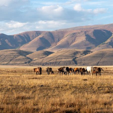 Steppe Climate | Definition, Types & Examples | Study.com