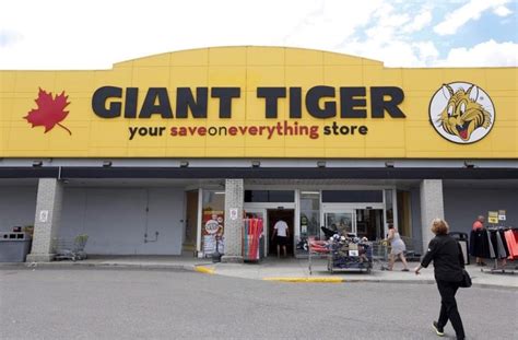 Giant Tiger planning to increase store count to 300 amid COVID-19 ...