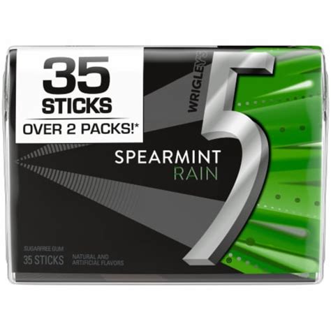 5 Gum Rain Spearmint Chewing Gum, 35 ct - Fry’s Food Stores