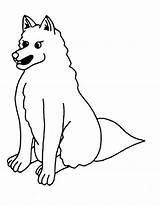 Cute Coyote Coloring Page  Free Printable Coloring Pages For Kids sketch template