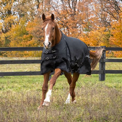 Rain Sheets – Greenhawk Equestrian Sport