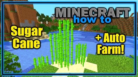 How to Find and Use Sugar Cane in Minecraft! | Easy Minecraft Tutorial - YouTube