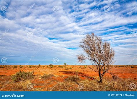 Australian Outback Landscape Stock Photo - Image of remote, clouds ...