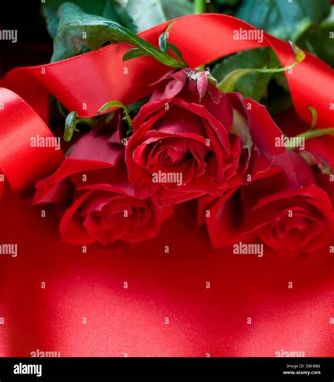 Red Roses over silk background Stock Photo - Alamy