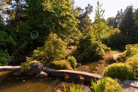 Kubota Garden Usa Scenic Public Photo Background And Picture For Free ...