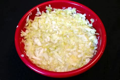 Homemade Fermented Sauerkraut | Fresh Cooked Fun