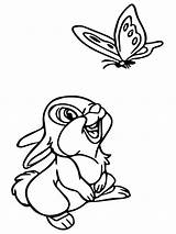 Thumper Bambi Wecoloringpage Clipartmag Clipground Coloringfolder  sketch template