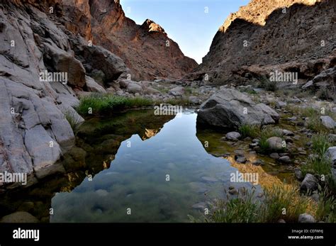 Sinai desert, Egypt Stock Photo - Alamy