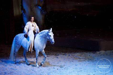 Cavalia in Minneapolis! - Shelley Paulson Photography