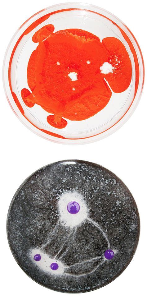 Petri Dish Art | Center for Microbiome Sciences's collection of 20+ petri dish ideas