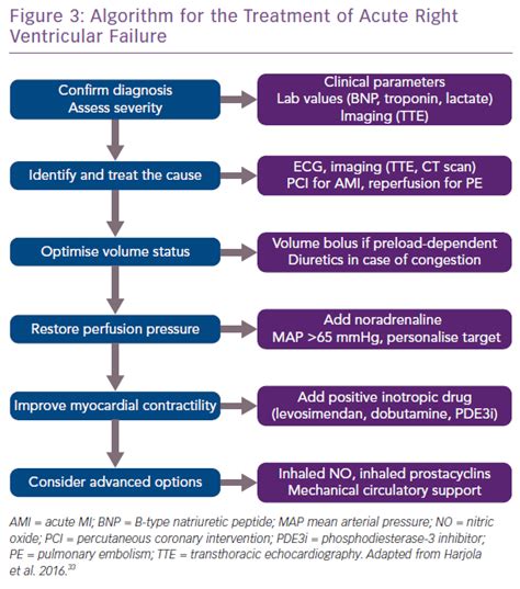 Algorithm for the Treatment of Acute Right Ventricular Failure | Radcliffe Cardiology