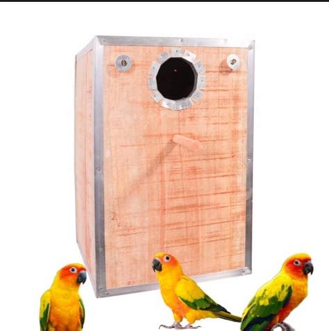 Sun Conure Breeding Box(Wooden) Nest Box : Amazon.in: Pet Supplies