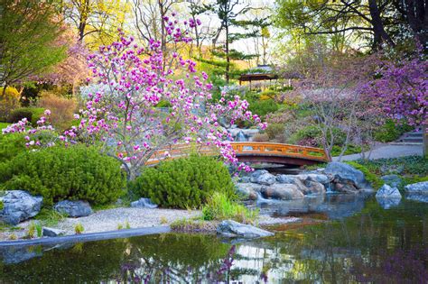 Découvrez la culture japonaise entre tradition et modernité