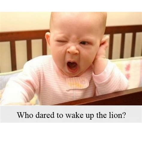 30 Sleeping Baby Memes That Are Definitely Worth Sharing – Child Insider