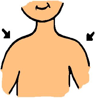 shoulders clipart - Clip Art Library