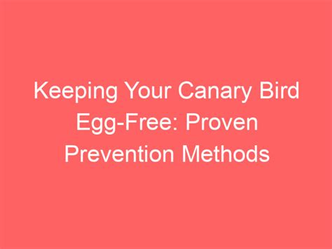 Keeping Your Canary Bird Egg-Free: Proven Prevention Methods - My Pet Canary