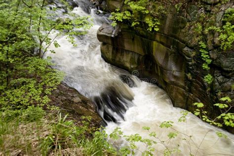 Harz Mountains, Germany stock photo. Image of nature - 39549690